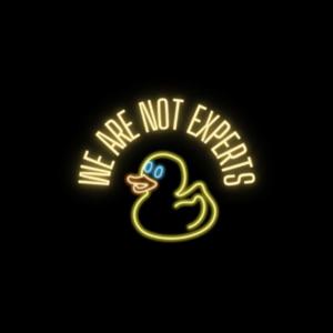 We Are Not Experts.