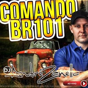 COMANDO BR 101