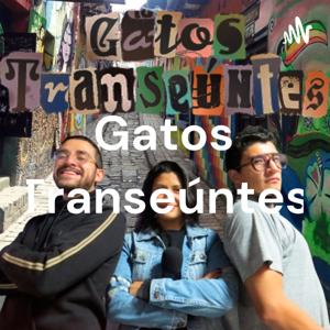 Gatos Transeúntes