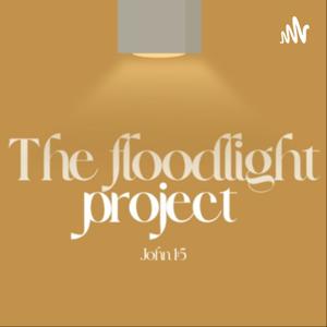 The Floodlight Project