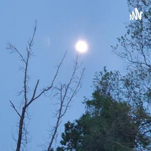 Let's Get Naked , Artè