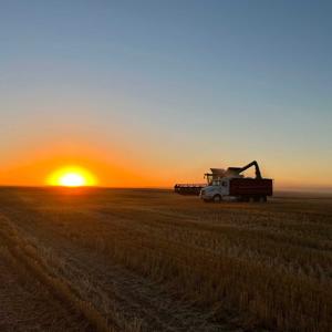 Women in Agriculture