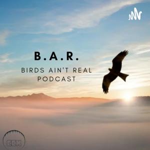 Birdz Ain't Real