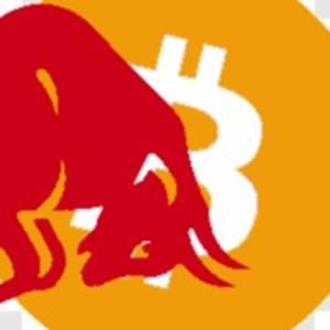 Crypto BTC Bull