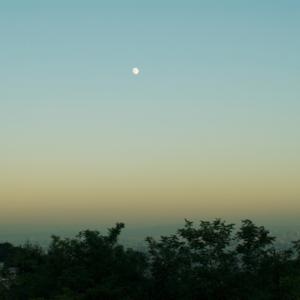 深夜ラジオのようなもの