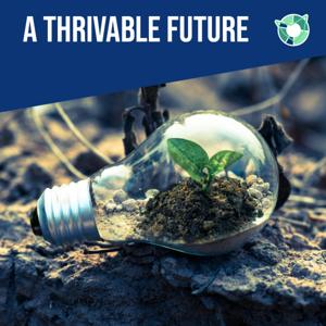 A Thrivable Future