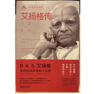 艾揚格傳