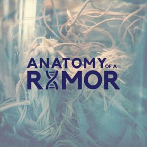 Anatomy Of A Rumor