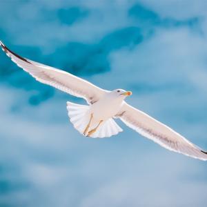 La Bellezza Nel Quotidiano