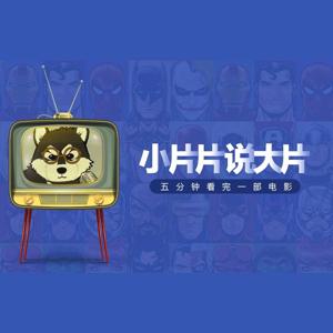 小片片说大片