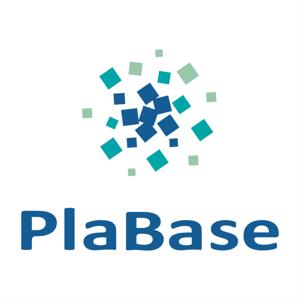 PlaBase