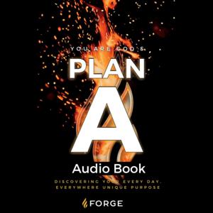 You are God's Plan A: Discovering Your Every Day, Everywhere, Unique Purpose