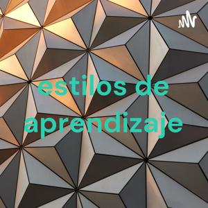 estilos de aprendizaje