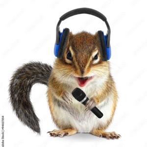 The Random Podcast