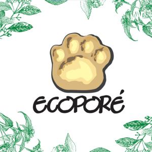 EcoCast: sociobioeconomia e sustentabilidade na Amazônia