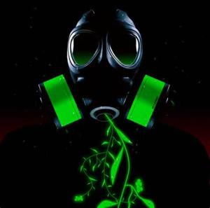 facebook page