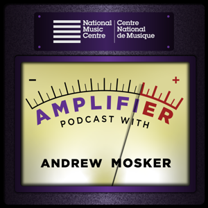 NMC Amplifier