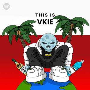 Łukasz "Vkie" Liszka