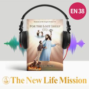 Sermons on the Gospel of John (VI) - FOR THE LOST SHEEP (I)