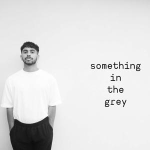 something in the grey