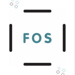 FOS-podden: Likeverdige tjenester for alle