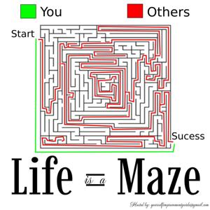 Life is a Maze