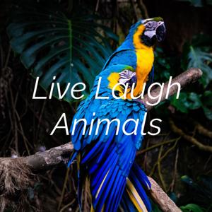 Live Laugh Animals