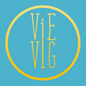 Gesprekken over angsten, dyslexie, dyscalculie, dysfasie, stress, motivatie en zoveel meer - Vievig