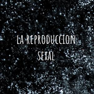 la reproduccion sexal