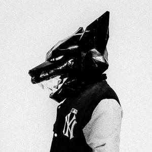 Mr. Wollf