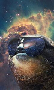 🌟 Cosmic Sloth 🌟