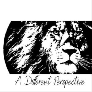 A Different Perspective