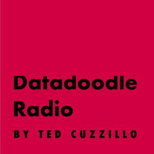 Datadoodle Posts in Audio