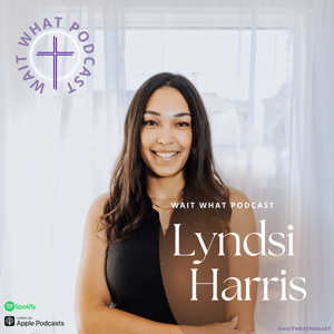 The Wait What Podcast