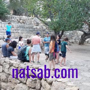 natsab.com