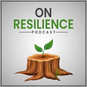 On Resilience