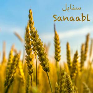 سنابل
