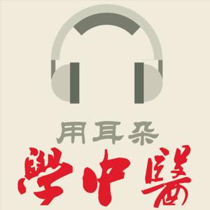 用耳朵学中医 by 中医学习笔记