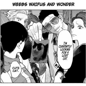 Weebs Waifus and Wonder
