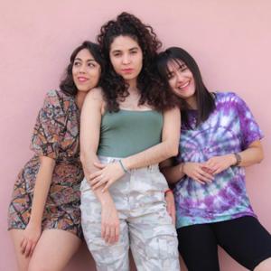 La Feminista Enamorada