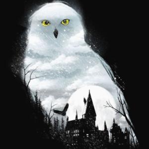 Harry Potter Fan Podcast