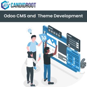 Odoo ERP Development Process