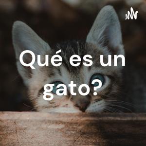 Qué es un gato?