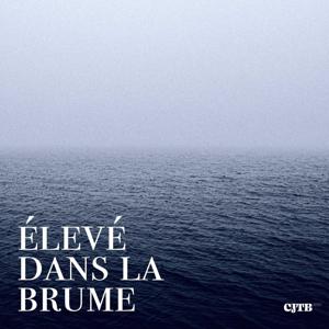 Élevé dans la brume