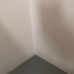 Bogi Test 2