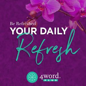 Your Daily Refresh