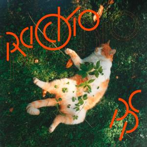 Radio pps - radio before before sleep