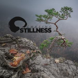 Chasing Stillness