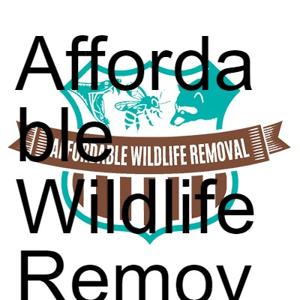 Affordable Wildlife Removal