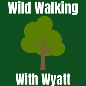 Wild Walking With Wyatt